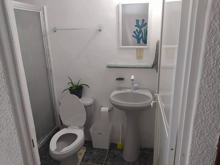 Arrecife Apartment Cancún Exterior foto